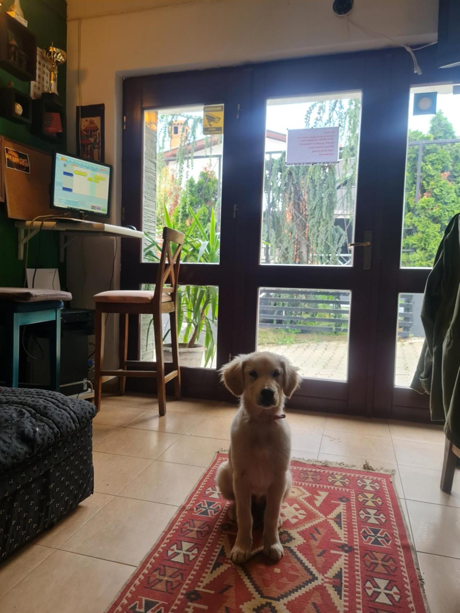 Guesthouse Hotel My Home プリズレン エクステリア 写真